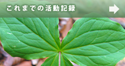 キャンプ三重ネットこれまでの活動記録